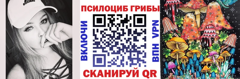 купить наркотик  Бузулук  мориарти Telegram  Псилоцибиновые грибы GOLDEN TEACHER 